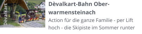 Dèvalkart-Bahn Ober-warmensteinach Action für die ganze Familie - per Lift hoch - die Skipiste im Sommer runter