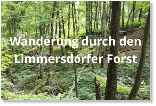 Wanderung durch den Limmersdorfer Forst